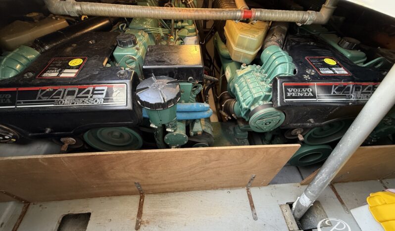 Sessa Oyster 35 lleno