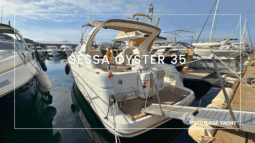 Previsualización de vídeo