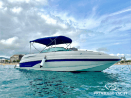 Chaparral Sunesta 236