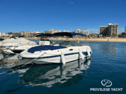 Chaparral Sunesta 236