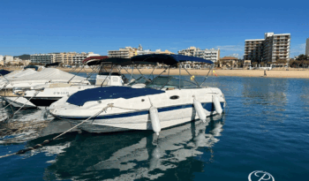 Chaparral Sunesta 236