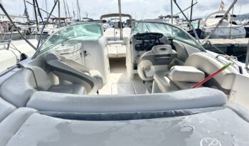 Chaparral Sunesta 236